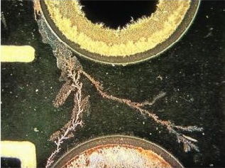 Dendrites ionic contamination